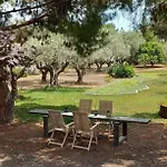 Coralia's Beachfront Sea View