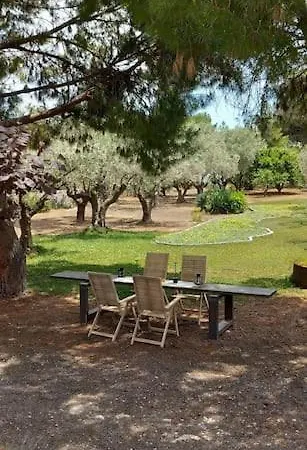 Coralia's Beachfront Sea View