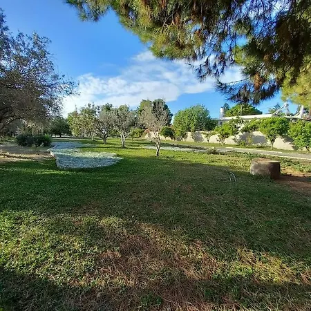 Βίλα Coralia's Beachfront Sea View *