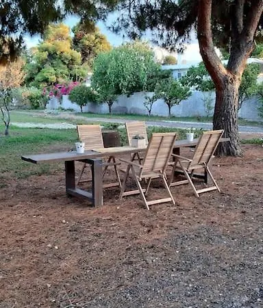 Βίλα Coralia's Beachfront Sea View