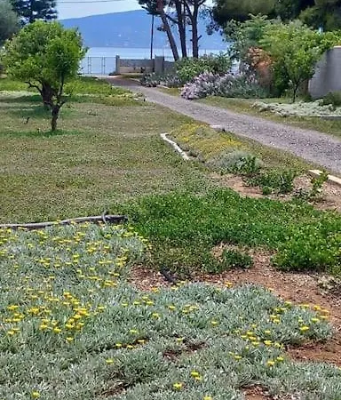 Βίλα Coralia's Beachfront Sea View *