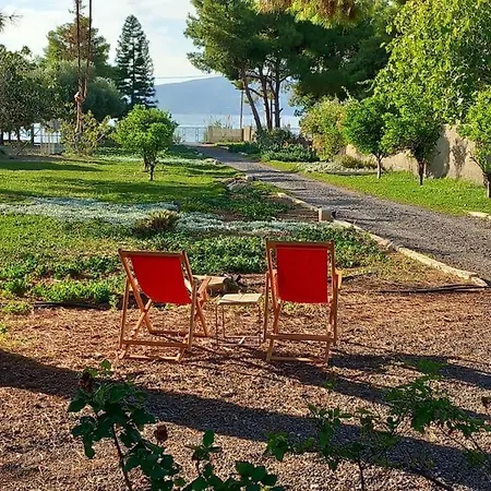 Βίλα Coralia's Beachfront Sea View *