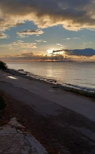 Coralia's Beachfront Sea View