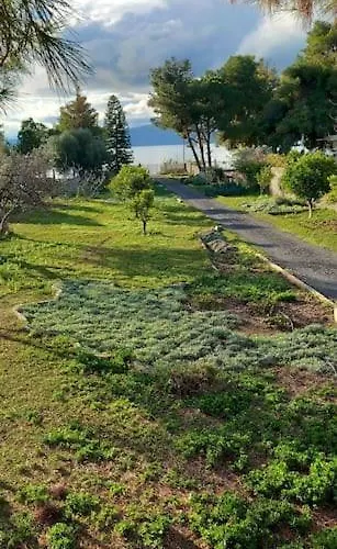 Coralia's Beachfront Sea View 빌라