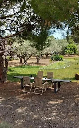 Coralia's Beachfront Sea View