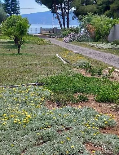 빌라 Coralia's Beachfront Sea View *