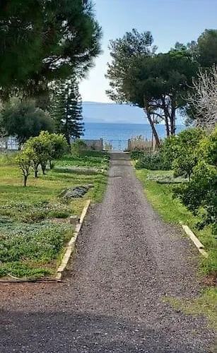 Coralia's Beachfront Sea View Villa *